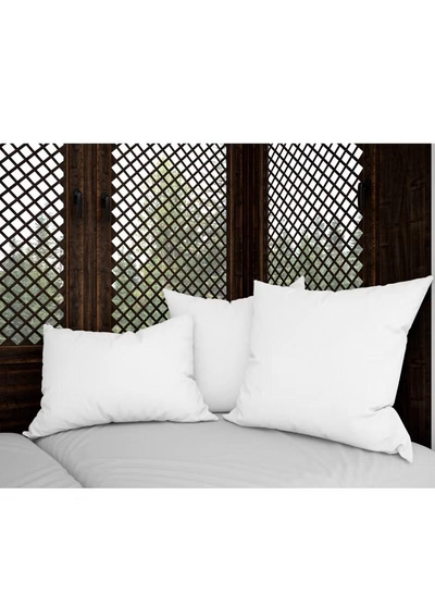 PARRY LIFE Premium Pillow For Back, Neck, And Shoulder Support Soft Fluffy Stripe Hotel Pillows Microfiber White 75x50cm-3
