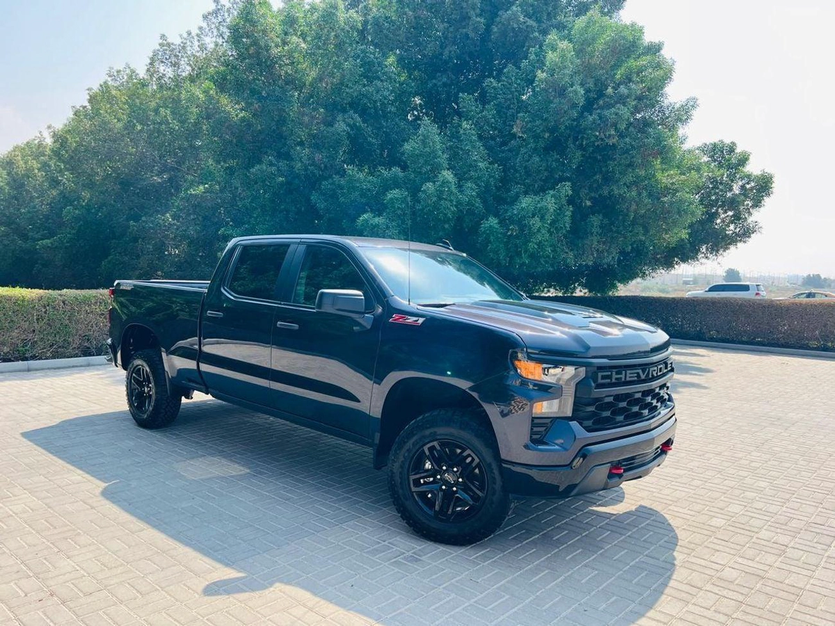 Chevrolet Silverado Z71-19-19