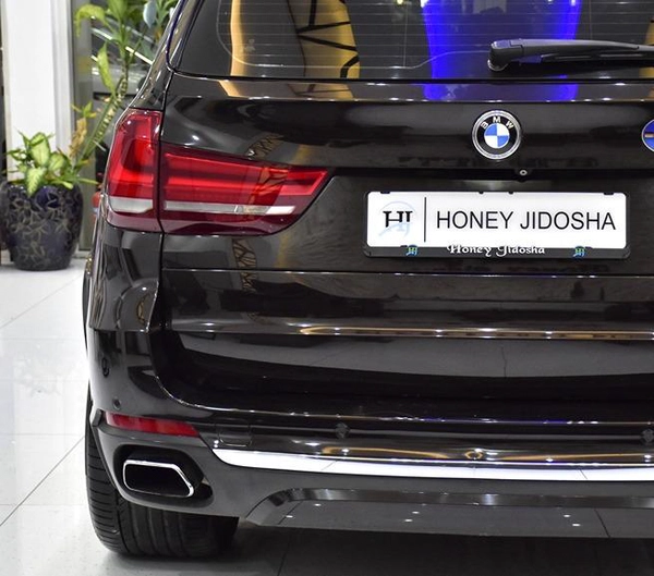 BMW X5 xDrive50i ( 2014 Model ) in Brown Color GCC Specs