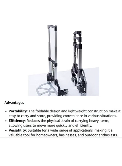 ABBASALI 2 Wheel Foldable Mini Trolley Carrier 150kg-1