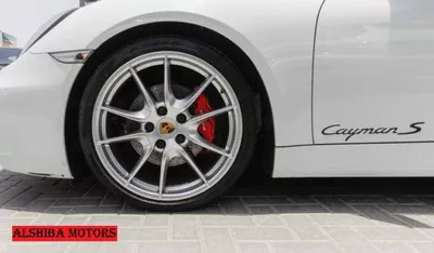 Porsche Cayman S-8