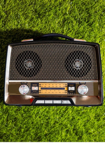 GEEPAS Rechargeable Radio with Bluetooth, 3-Band Radio, | AUX Input, Rechargeable Battery Radio | AC/ DC Operation | BT/ FM/ MP3/ USB/ TF Card | GR13016-4