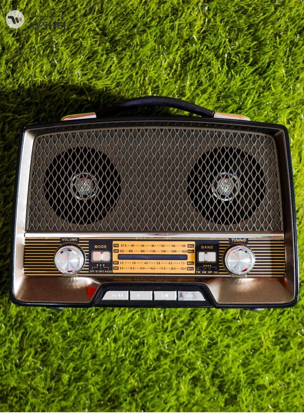 GEEPAS Rechargeable Radio with Bluetooth, 3-Band Radio, | AUX Input, Rechargeable Battery Radio | AC/ DC Operation | BT/ FM/ MP3/ USB/ TF Card | GR13016