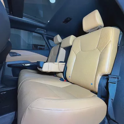 2024 Lexus Rx 350 hybrid Platinum-9
