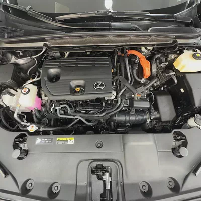 2024 Lexus Rx 350 hybrid Platinum-10