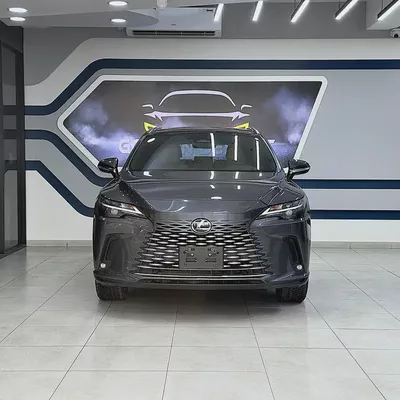 2024 Lexus Rx 350 hybrid Platinum-1