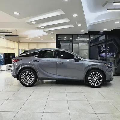 2024 Lexus Rx 350 hybrid Platinum-2