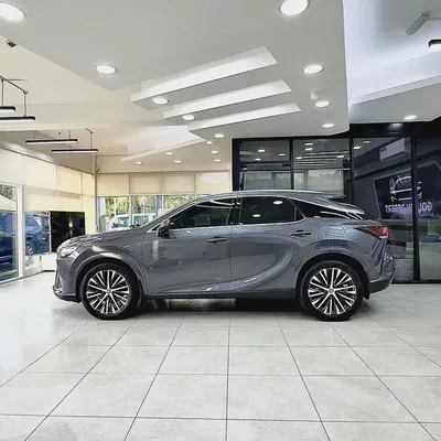 2024 Lexus Rx 350 hybrid Platinum-3