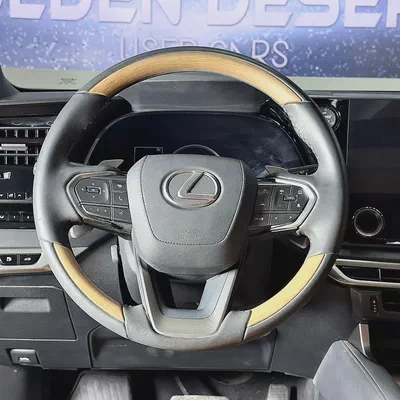 2024 Lexus Rx 350 hybrid Platinum-6