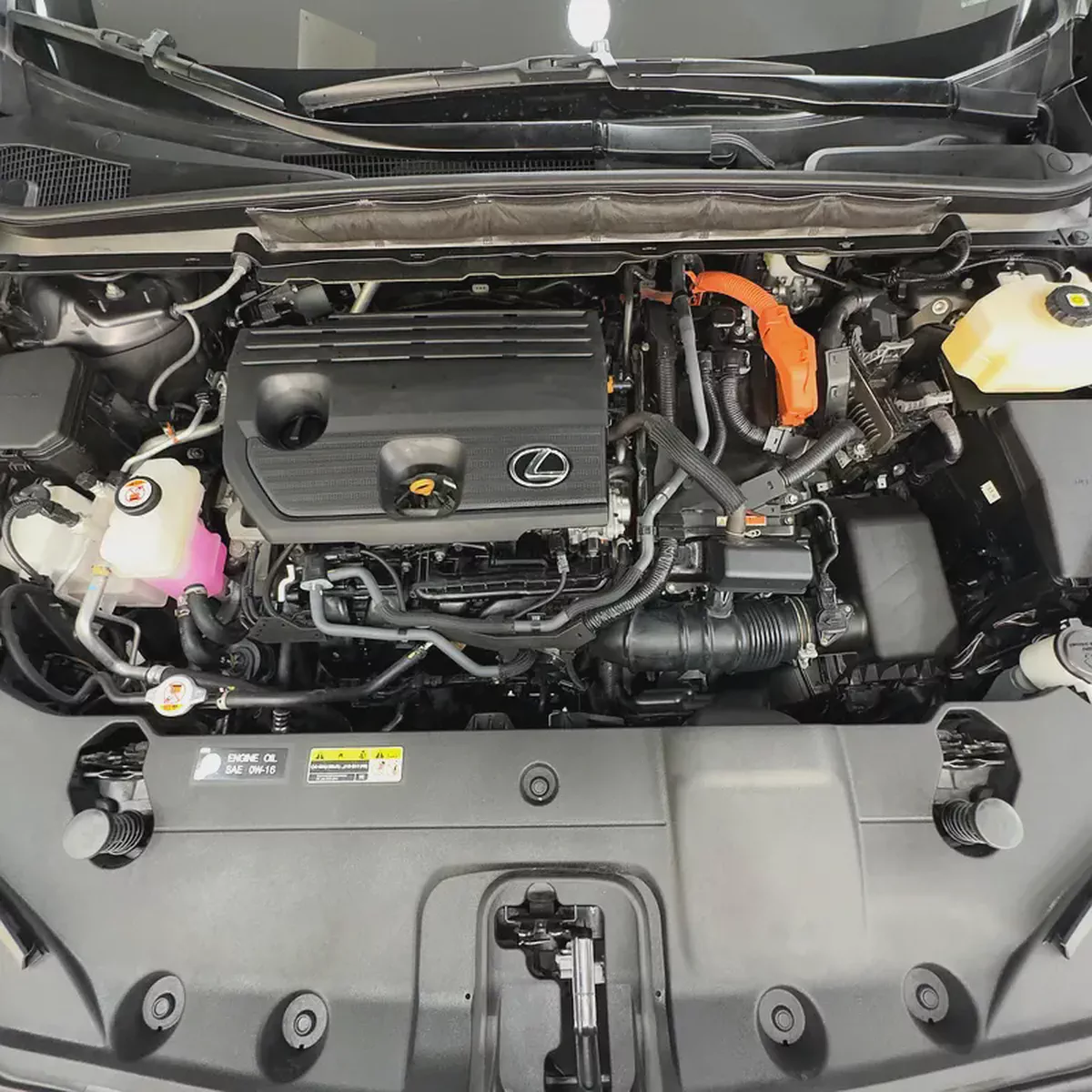 2024 Lexus Rx 350 hybrid Platinum-10-10