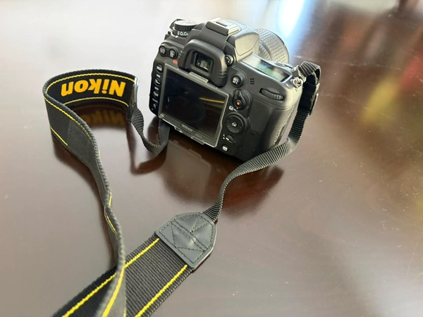 Nikon Digital Camera D7000