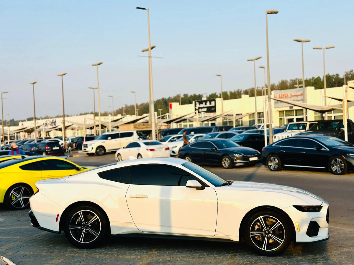 2024 Ford Mustang Ecoboost - # 07956-5-5