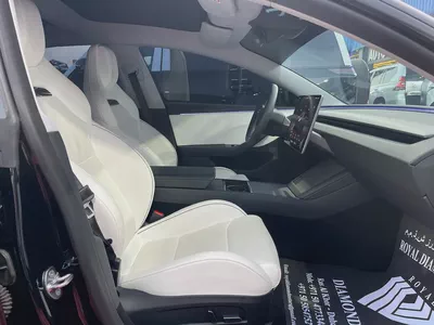 Tesla Model 3 Performance 2025 GCC Specs-10