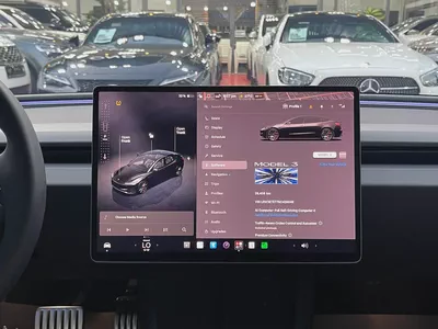 Tesla Model 3 Performance 2025 GCC Specs-14
