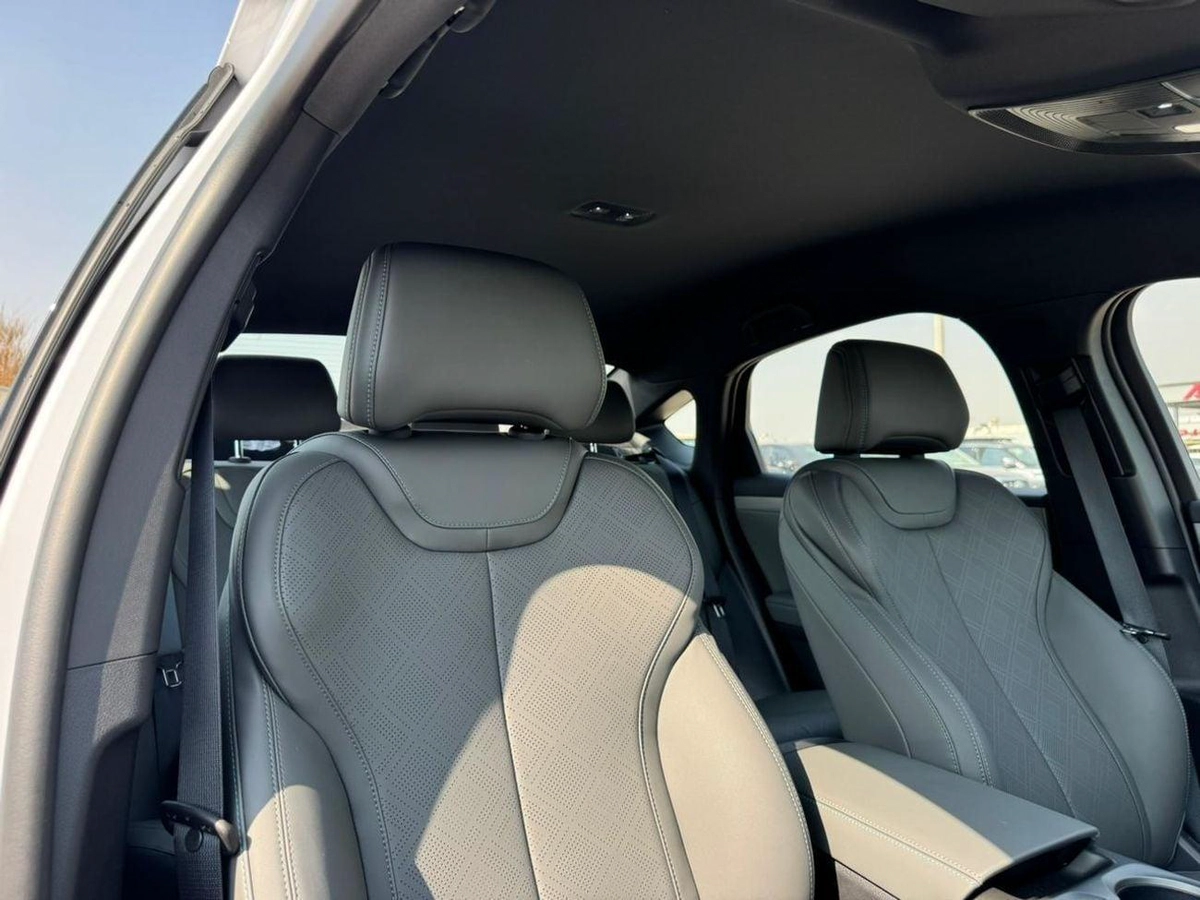 BYD QIN PLUS DM-i 1.5L PHEV 2025-9-0