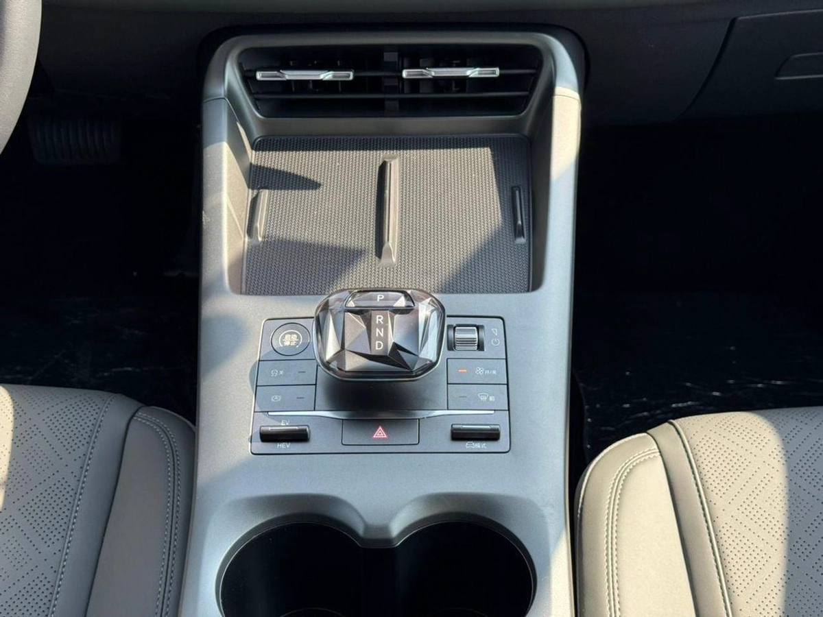 BYD QIN PLUS DM-i 1.5L PHEV 2025-21-0