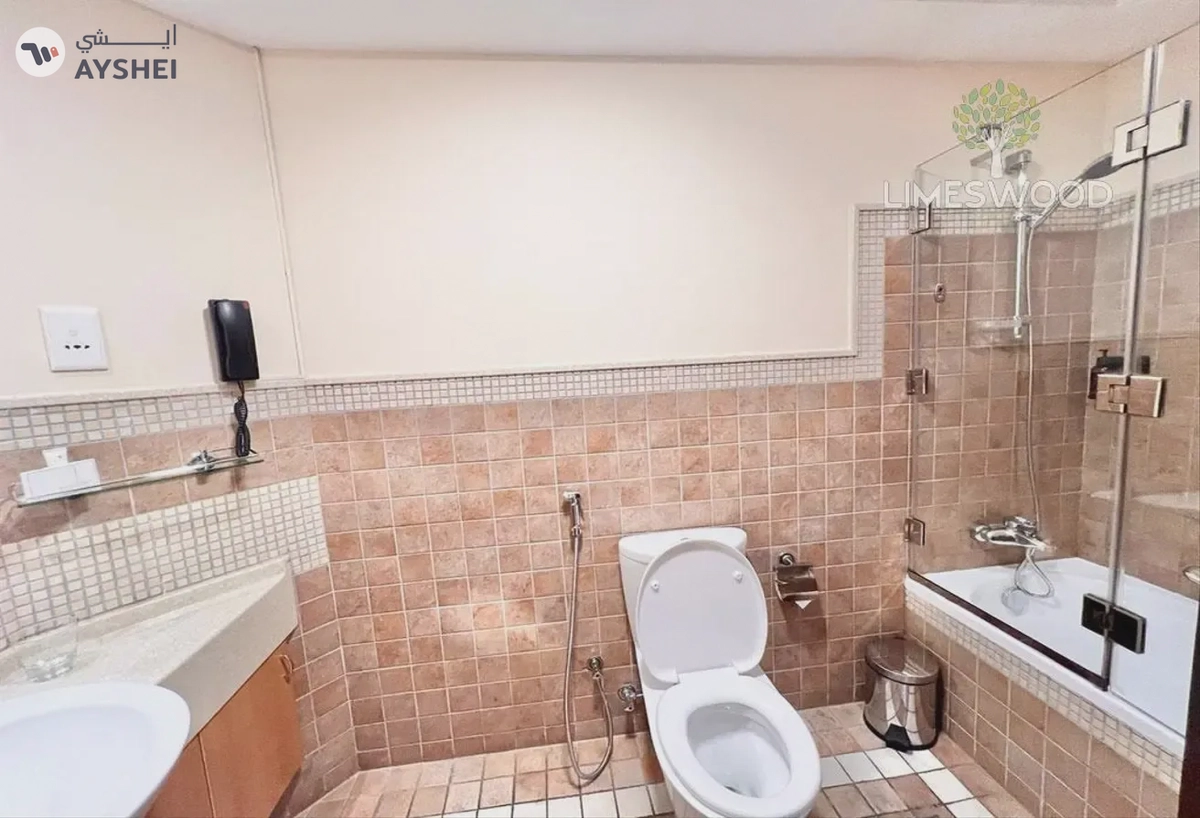 APARTMENT FOR RENT IN SHEIKH ZAYED ROAD Modern fully furnished studio all bills included-9-9