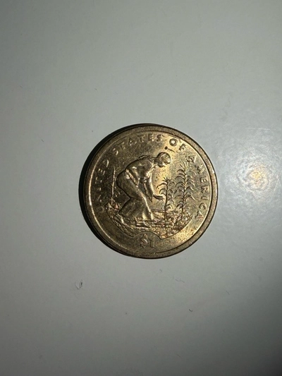 US Native American Sacagawea Dollar Coin (2009 Agriculture Reverse)-0