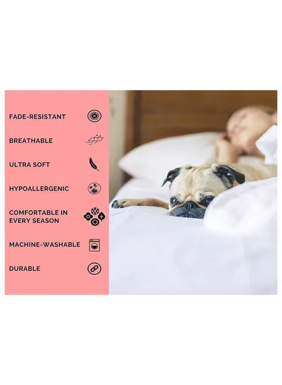 Premium Duvet All Season Comforter, Quilt Bedding, Microfibre Super Soft Insert White Single King Size bed 220x240 cm-2