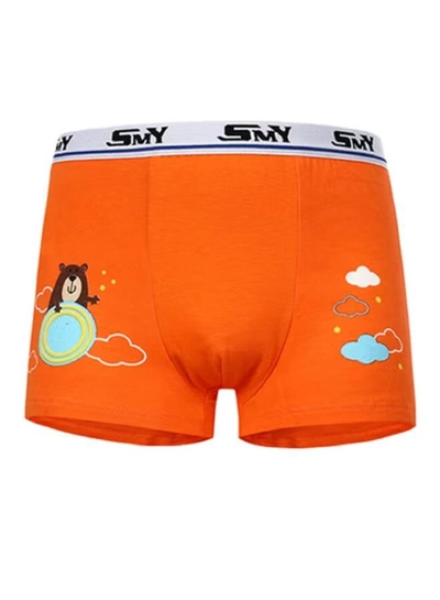 Babyqlo 4 Pack Happy Bear Printed Boxer Multicolour-4