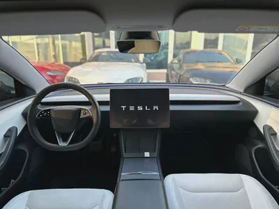 2025 Tesla Model 3 Long Range | GCC Specs | Brand New Condition-8