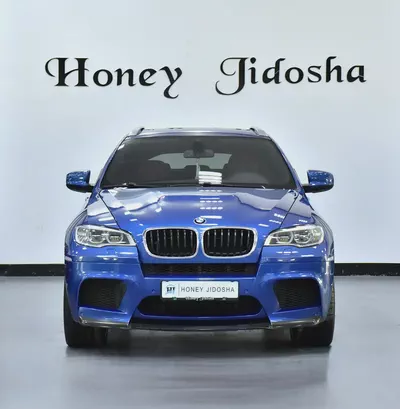 EXCELLENT DEAL for our BMW X6 M ( 2013 Model ) in Blue Color GCC Specs-1