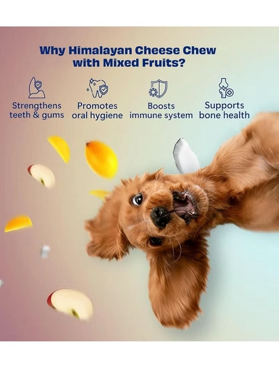 Himalayan Dog Chew Himalayan Cheese Chew Bar with 3 Nutritious Fruits 195g (3x 65g)-4