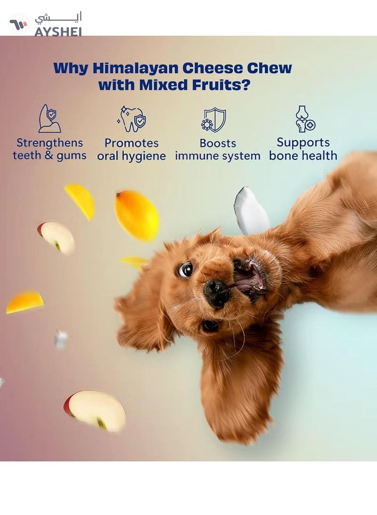 Himalayan Dog Chew Himalayan Cheese Chew Bar with 3 Nutritious Fruits 195g (3x 65g)-4-4