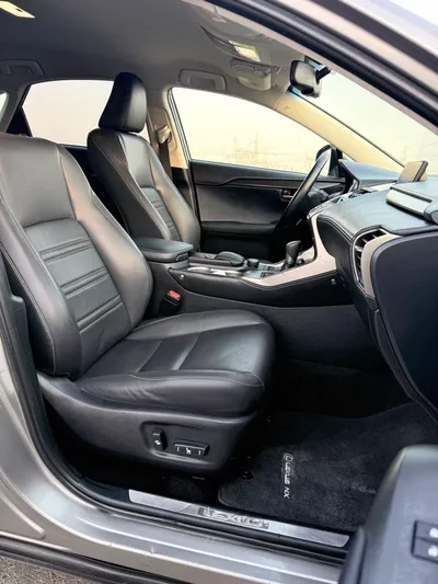 Lexus NX200t STANDARD-13