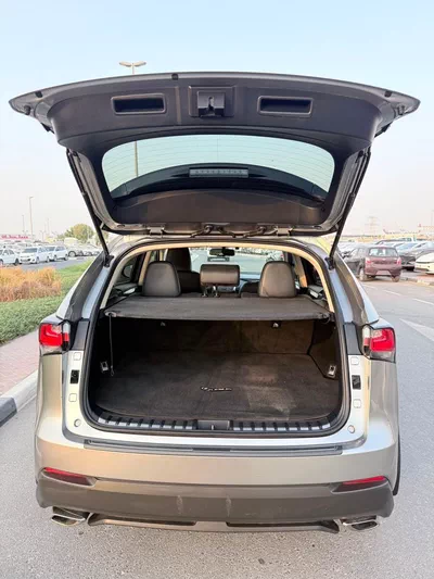 Lexus NX200t STANDARD-20