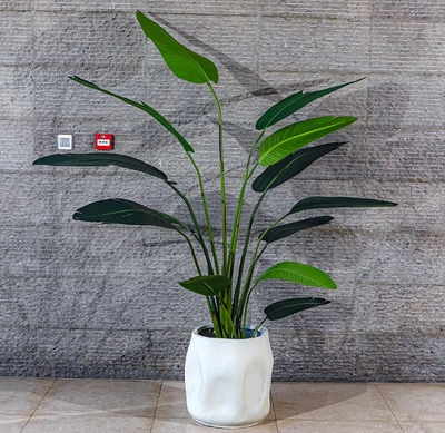 Yatai Decor Circular Designe Creative Plants Pot With Drain Hole Outdoor Planter-3
