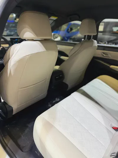 BYD Qin Plus DM-i 2025 - Brand New-13