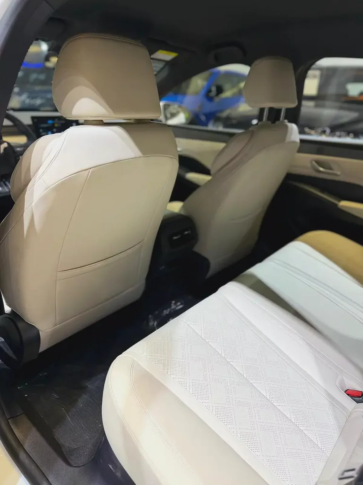 BYD Qin Plus DM-i 2025 - Brand New-13-13