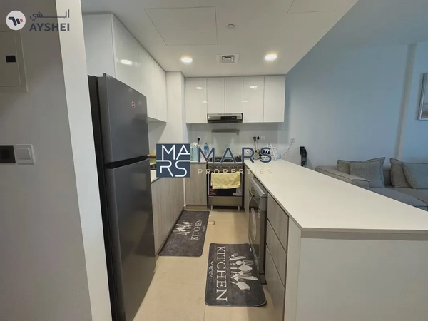 LUXURIOUS 2BHK FURNISHED FOR RENT IN MISK 3