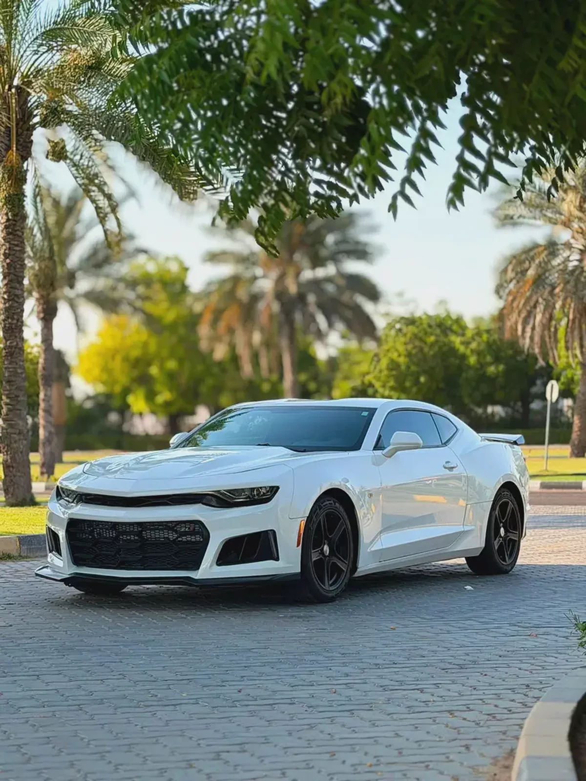 2019 Chevrolet Camaro LS - American Specs - Sporty  Sleek Performance