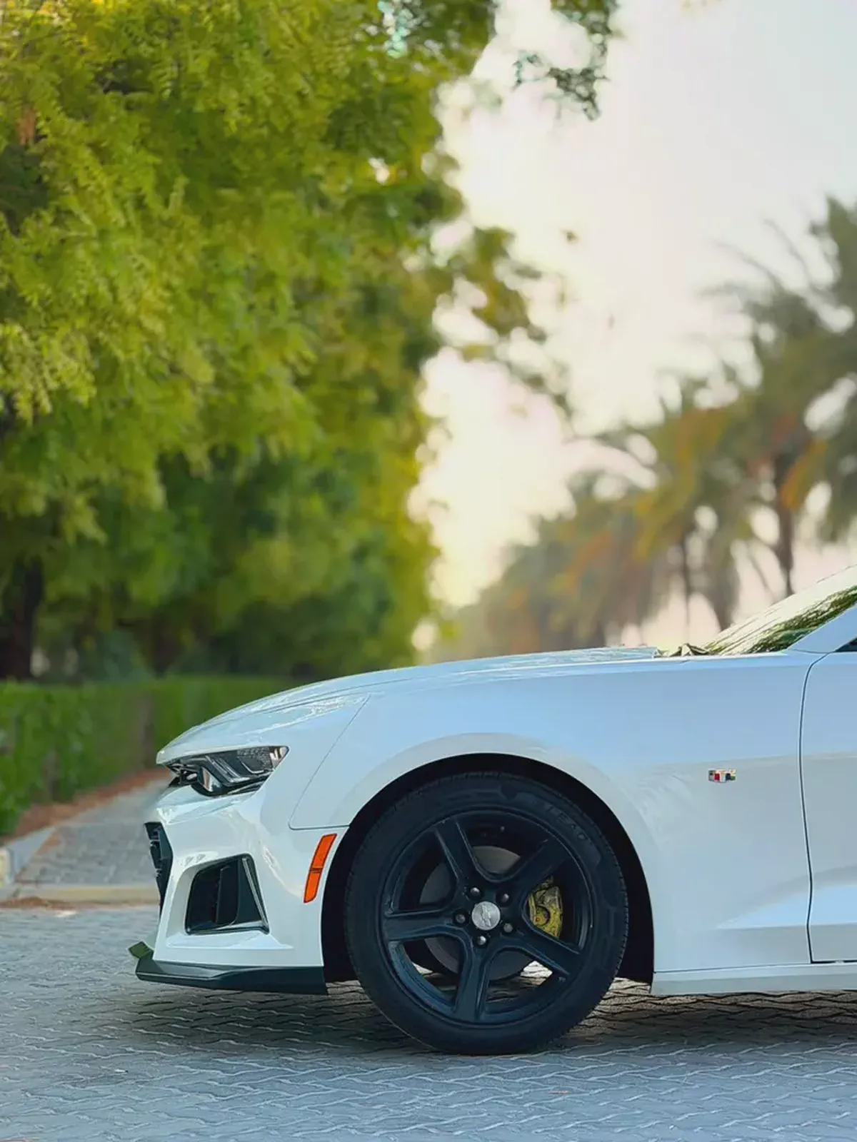 2019 Chevrolet Camaro LS - American Specs - Sporty  Sleek Performance-5-5