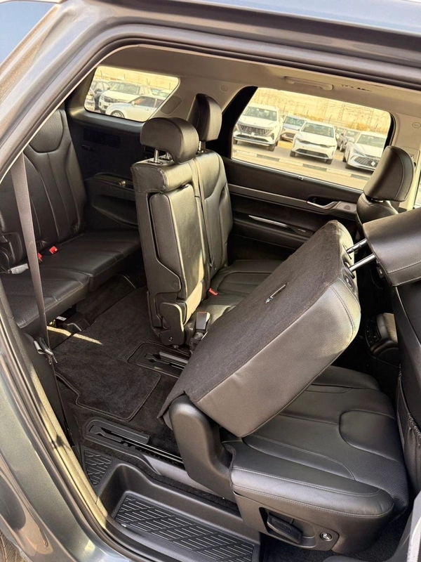 Hyundai Palisade Sel Full option 360 camera | Sunroof