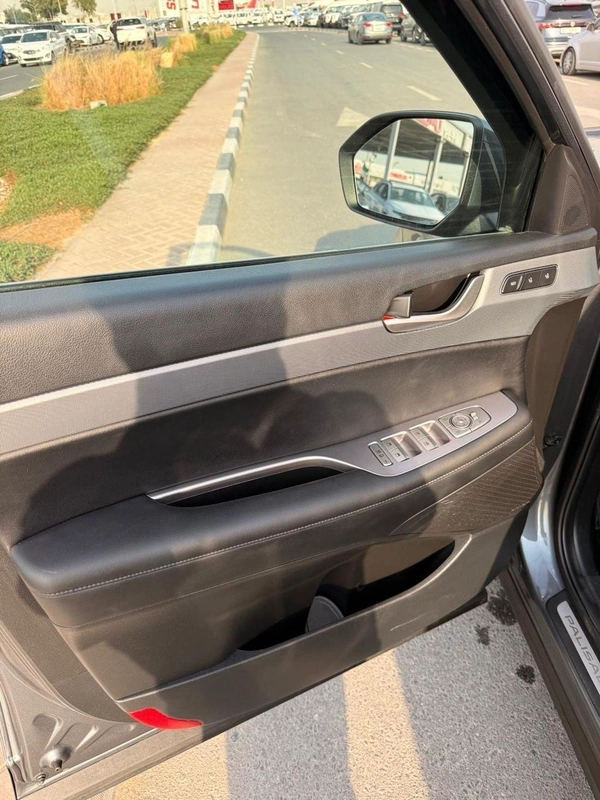 Hyundai Palisade Sel Full option 360 camera | Sunroof