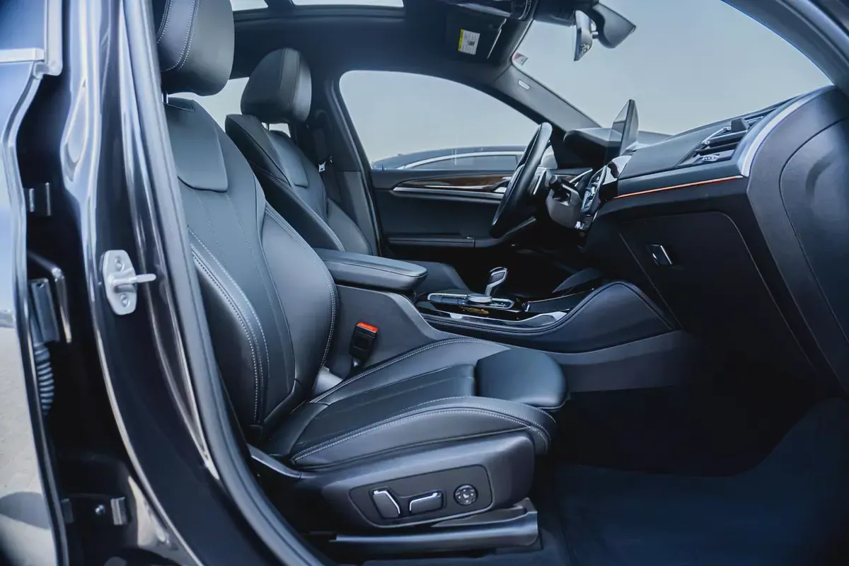 BMW X4 XDrive 30i-18-18