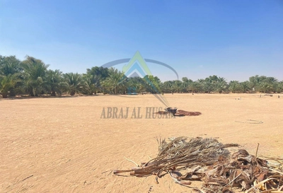 FARM FOR SALE IN AL KHATIM-3