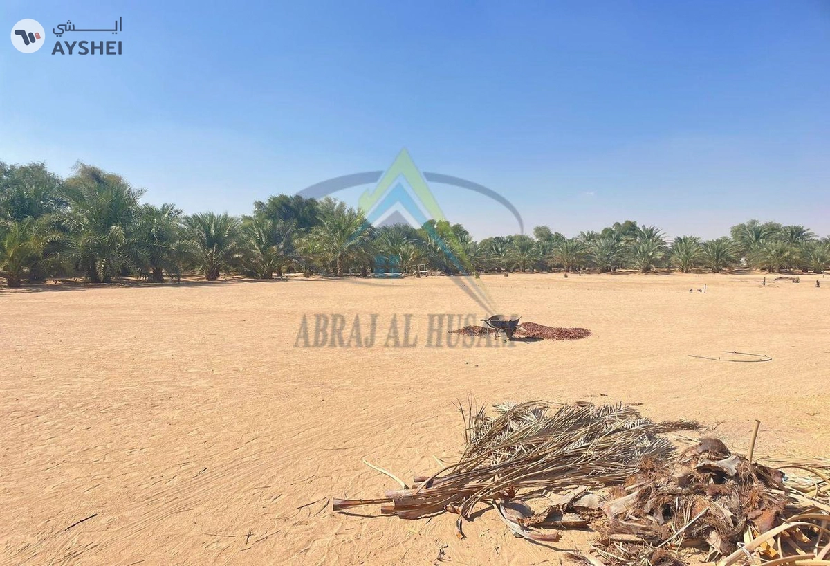 FARM FOR SALE IN AL KHATIM-3-3