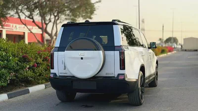 Rox 01 VIP 2026 | Brand New Big Battery | Luxury 6-Seater | Chinese Specs Ready Stock-3