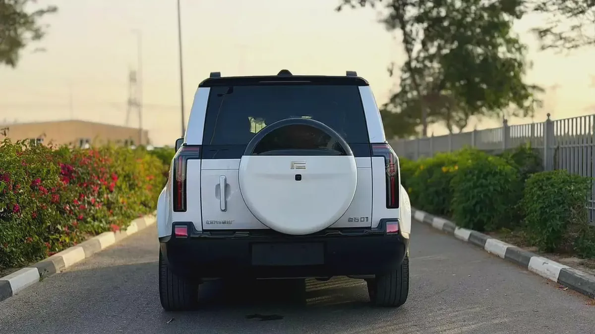 Rox 01 VIP 2026 | Brand New Big Battery | Luxury 6-Seater | Chinese Specs Ready Stock-2-2