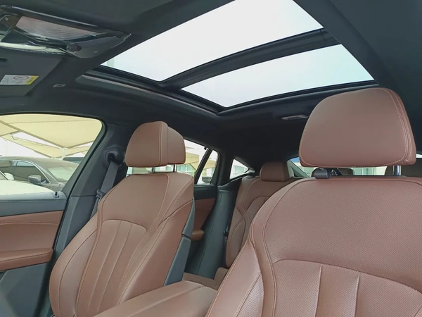 BMW X6 xDrive40i 2020 GCC Specs - Luxury  Performance