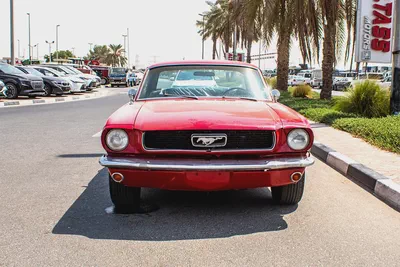 CLASSIC - 1965 - Ford Mustang (289) - JAPAN IMPORT -LOW MILEAGE-1