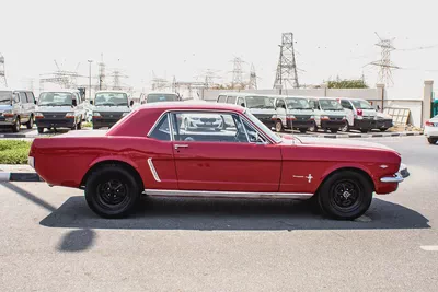 CLASSIC - 1965 - Ford Mustang (289) - JAPAN IMPORT -LOW MILEAGE-3