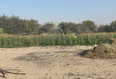 LAND FOR SALE IN SWEIHAN-2