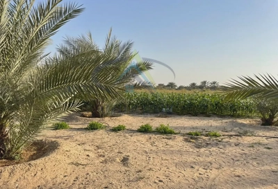 LAND FOR SALE IN SWEIHAN-0