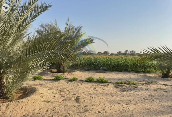 LAND FOR SALE IN SWEIHAN