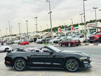 2021 Ford Mustang Ecoboost Convertible - # 04291-8